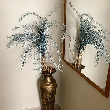 Διαμέρισμα Nikoleta Downtown *